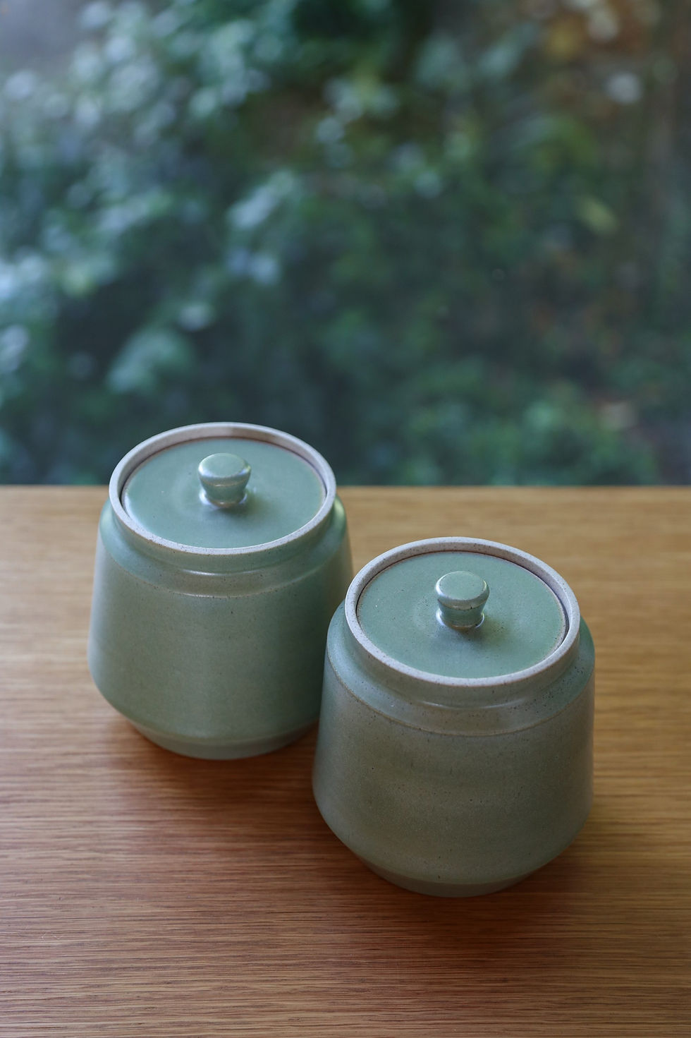 Thumbnail: Geometric Jar: Sage