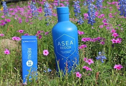 ASEA REDOX.jpg