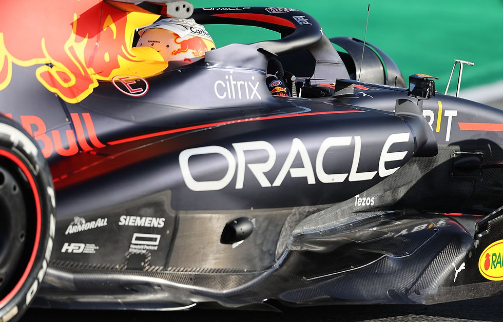 Red Bull Racng RB18 sidepods