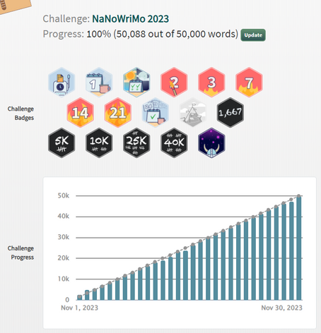 Results of NaNoWriMo 2023