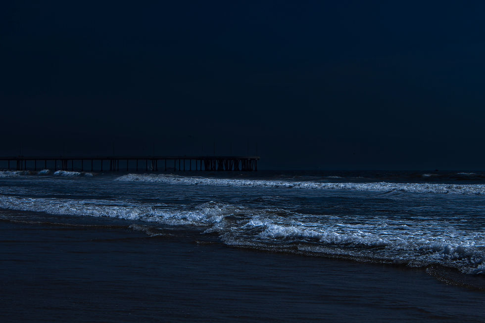 Venice Fishing Pier, Photo by Anna D. Spain