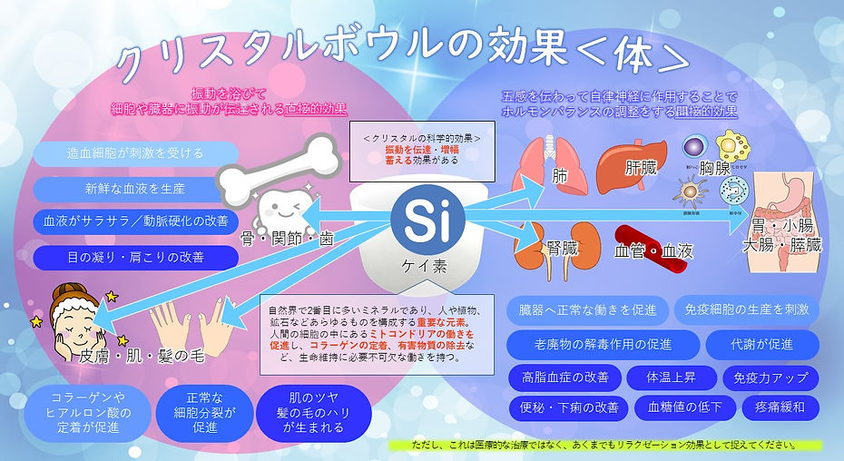 体への効果