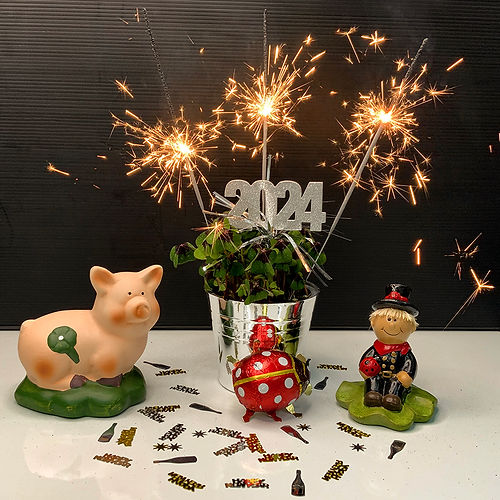 Silvester 2024