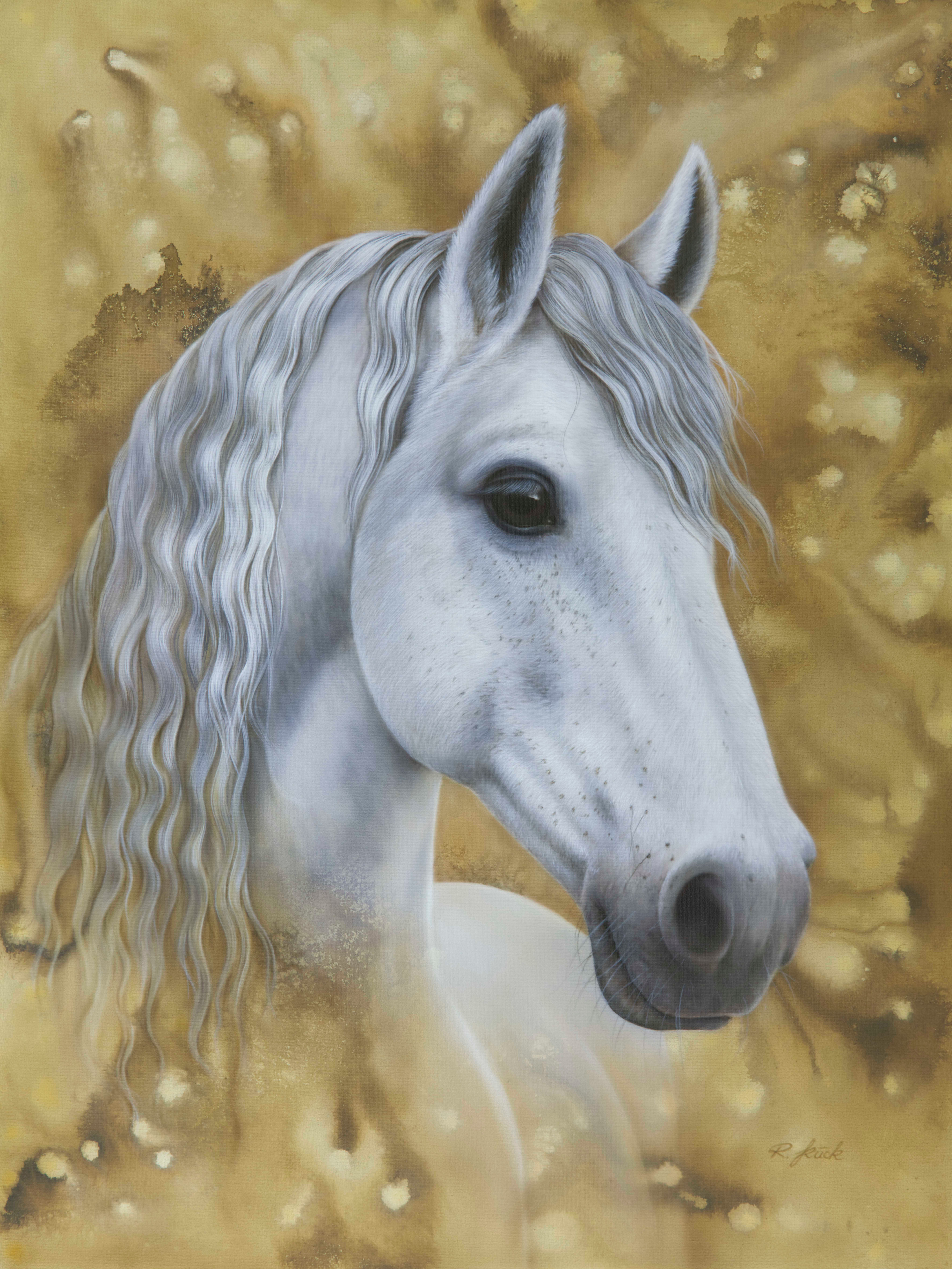 Silbermähne 60 x 80 cm