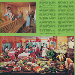 Nuova Zelanda 32 copy