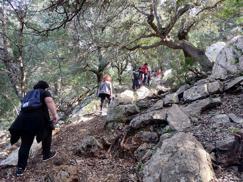 Pg per lab Ususule.jpg