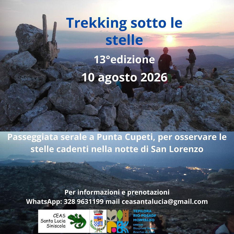TREKKING SOTTO LE STELLE