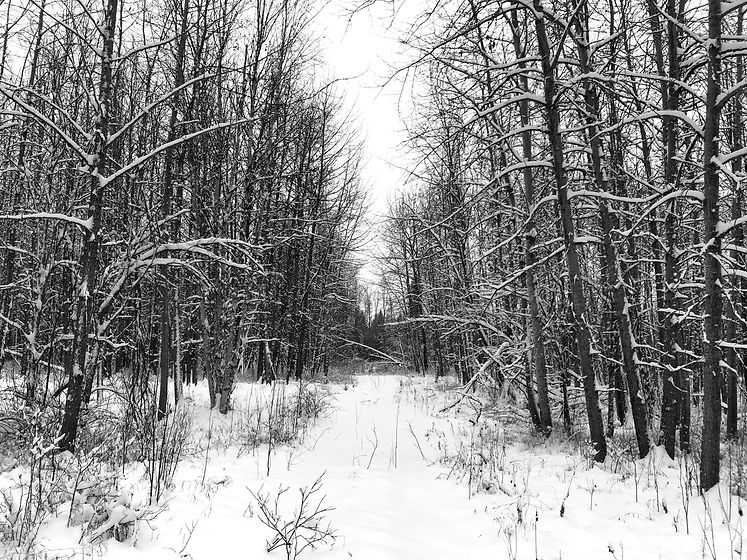 IMG_5980_edited.jpg