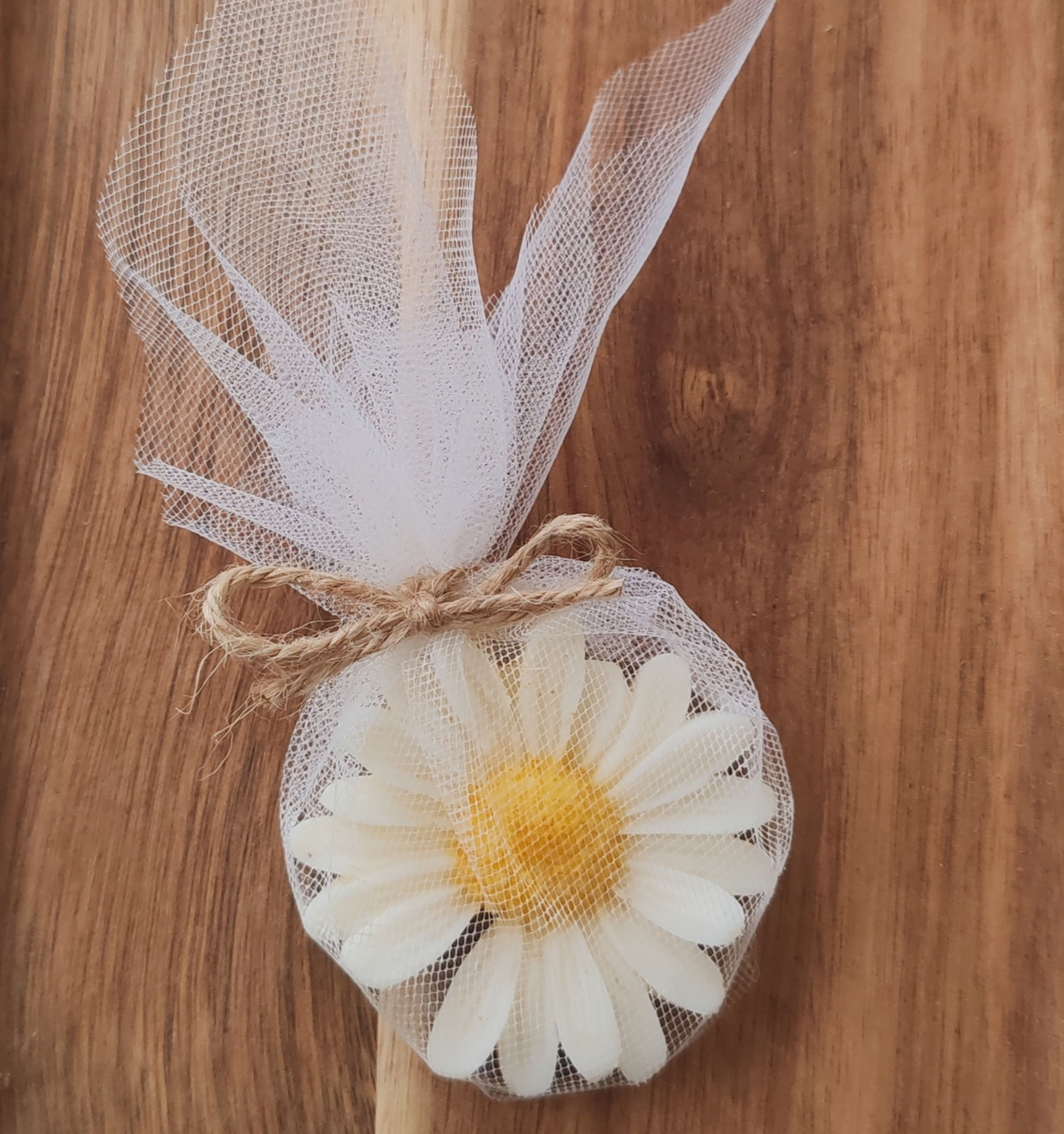 DAISIE - BOUGIE