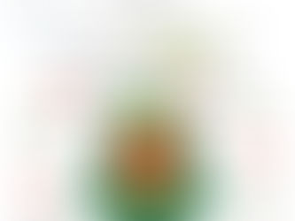 【参加者募集！】お獅子がやってくる！