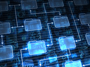The Digitization of Municipal Records