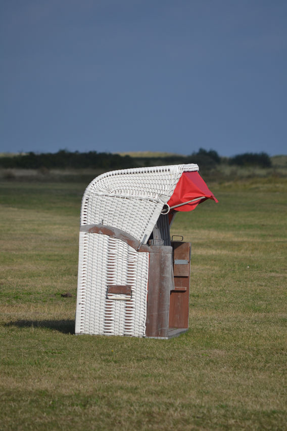 DSC_0537.JPG