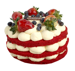 IMG_6526.png