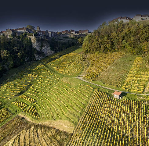 vins_jura_gite_les_pics_verts.jpg