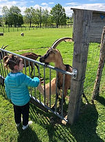 animaux des petits bois 3.jpg