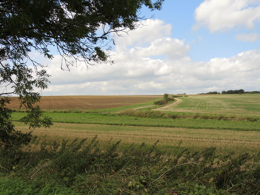 Stowmarket Walk
