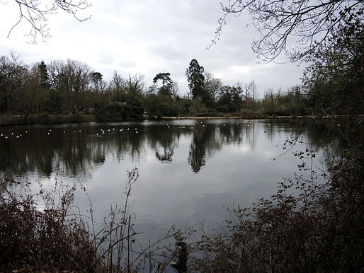 Danbury Walk