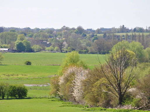 East Bergholt Walk