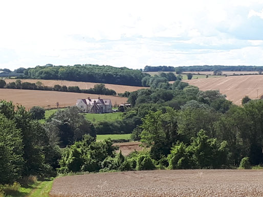 Great Sampford Walk 