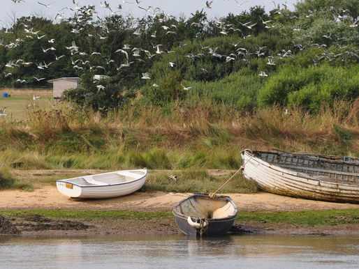 Southwold Walk 