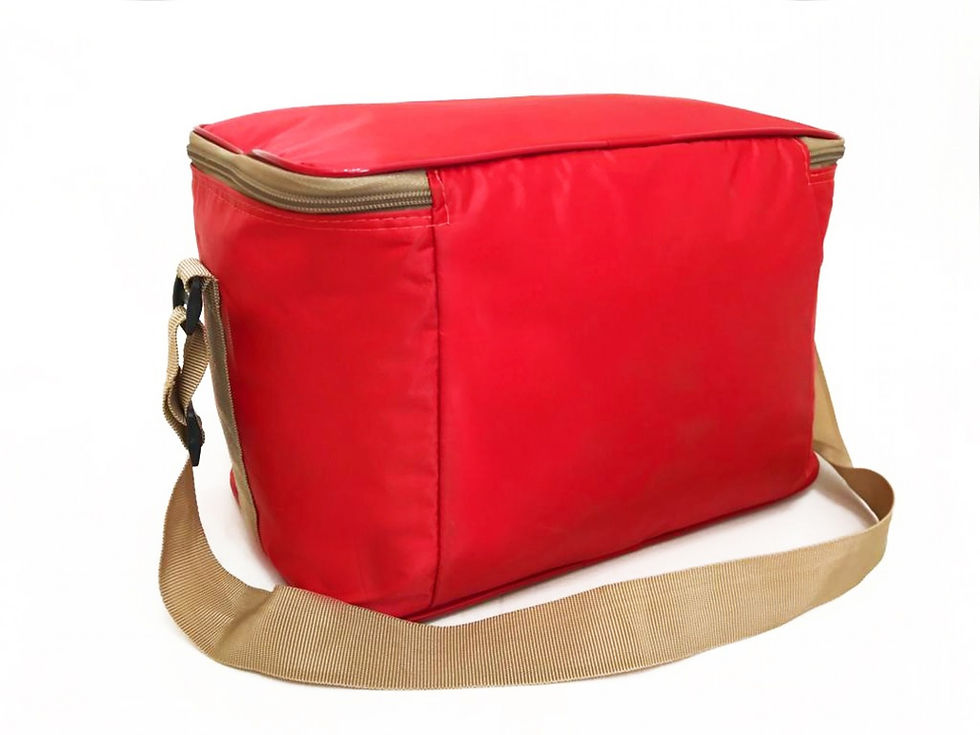 Thumbnail: PRO103 - BOLSA TÉRMICA 17L