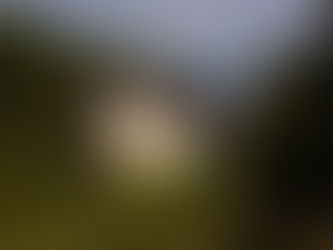 la chartreuse des Fraux à La Bachellerie -Périgord Noir -