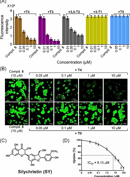 chem201902243-fig-0006-m.jpg