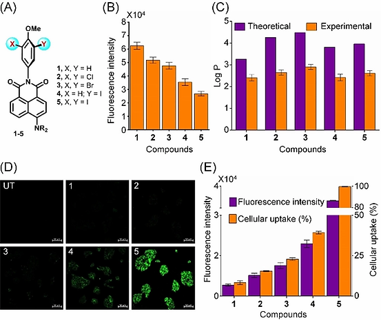 chem201902243-fig-0003-m.jpg