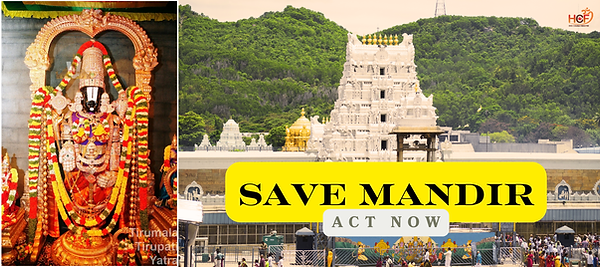 HCF Website Slides 2 (13).png