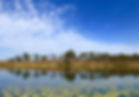 winter meditation retreat qld