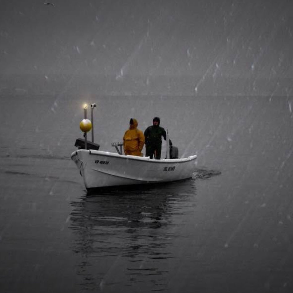 Thumbnail: Filet de Perche Leman Sauvage C+ 300g