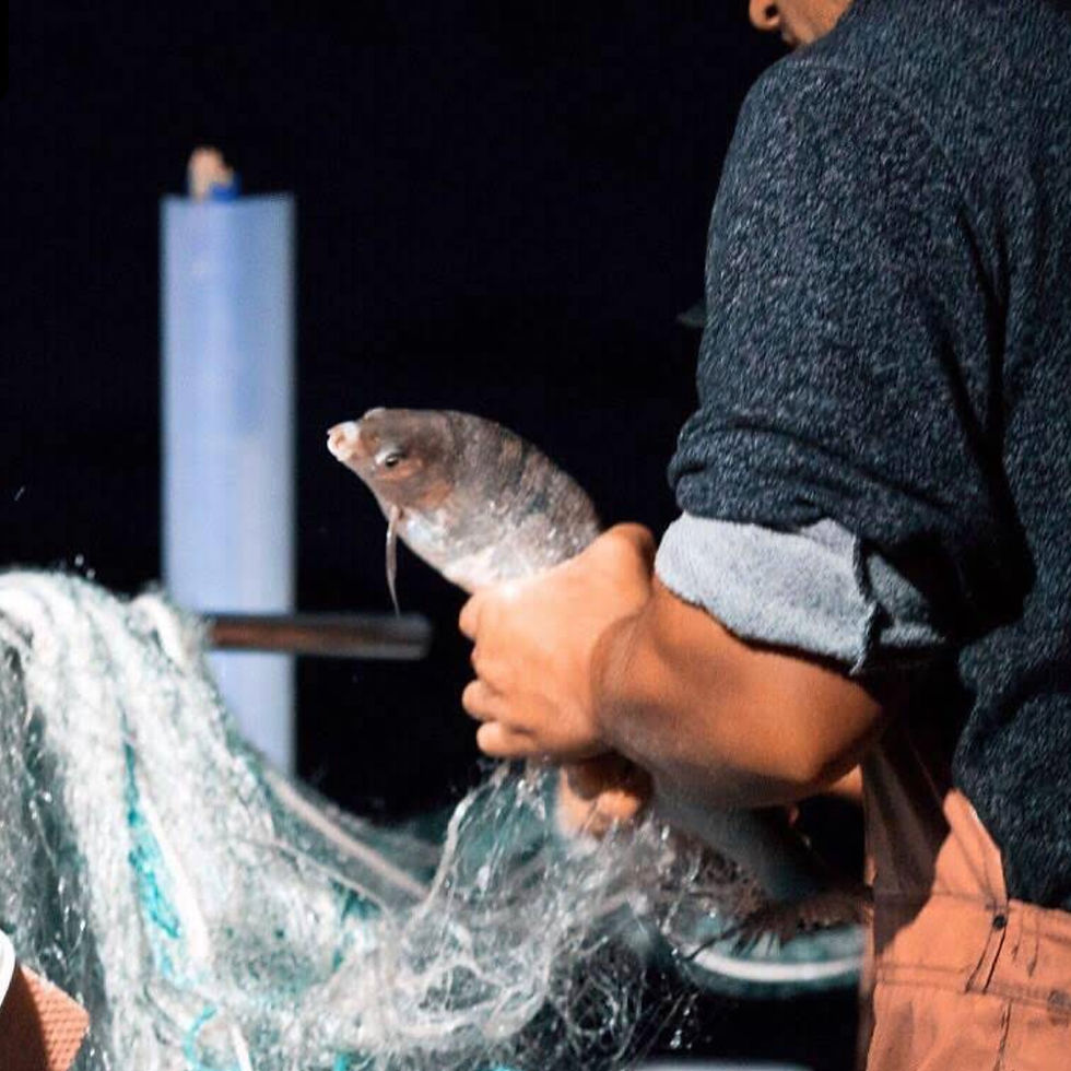 Thumbnail: Filet de Perche Leman Sauvage C+ 300g