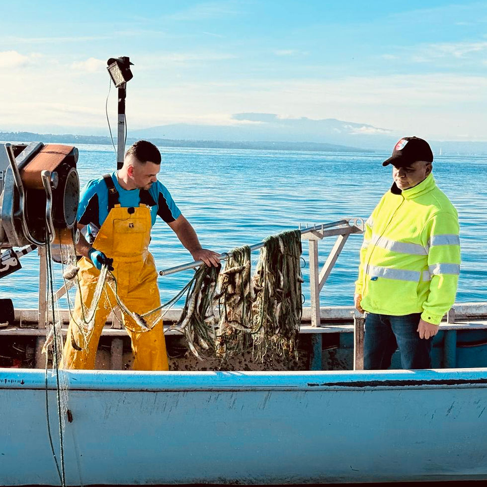Thumbnail: Filet de Perche Leman Sauvage C+ 300g