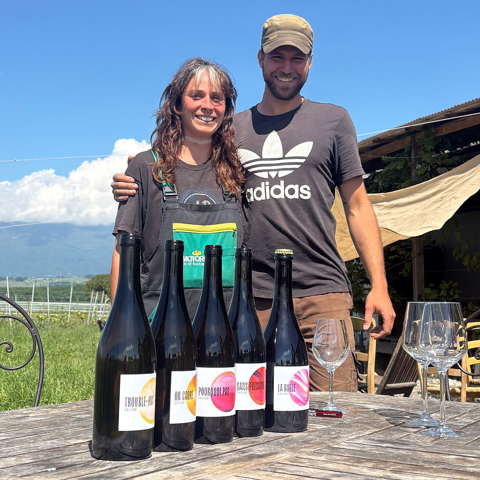 Miniature : Pourquoi Pas Rose Vin Vivant Bio