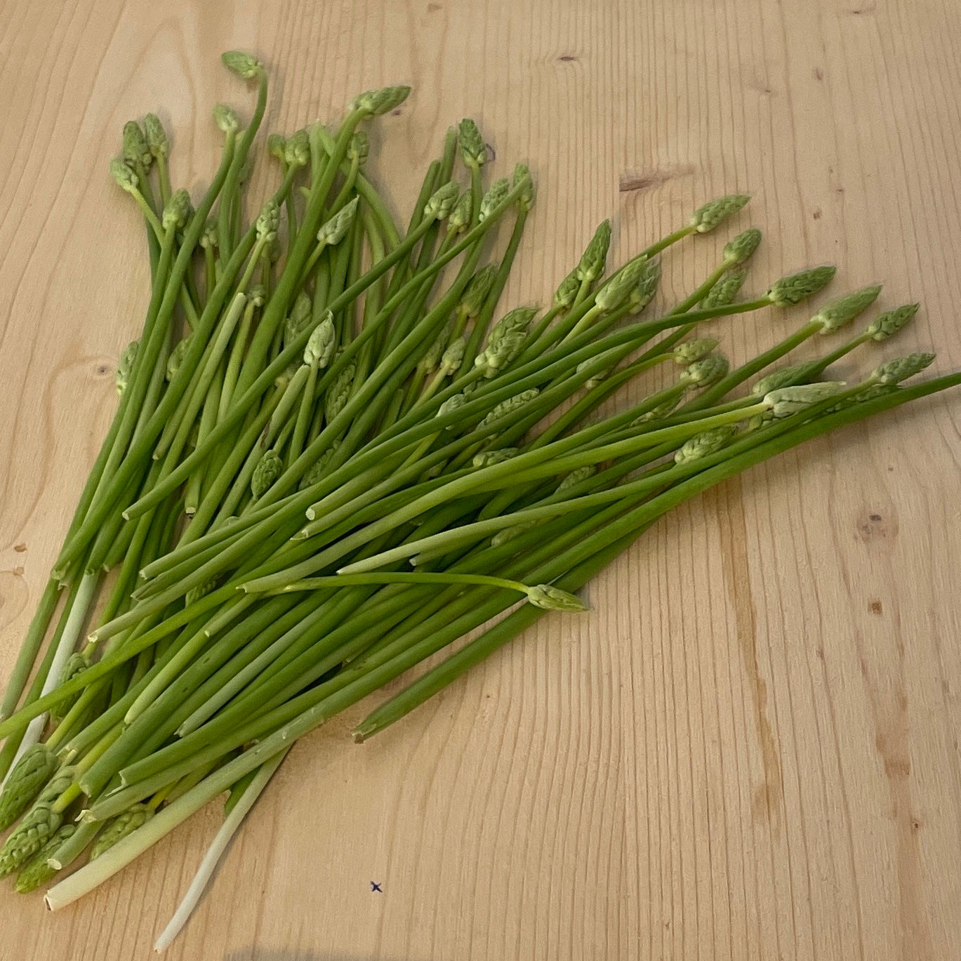 Asperges Sauvages de Geneve 100g