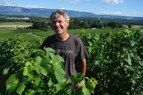 Miniature : Pellegin Vin Blanc Liquoreux