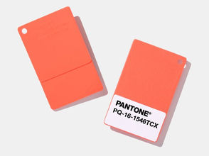 צבעי השנה 2019 של חברת הצבעים PANTONE