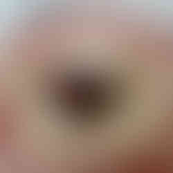 Gucci Osteria עוגה