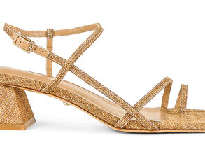 עקבי החתלתול