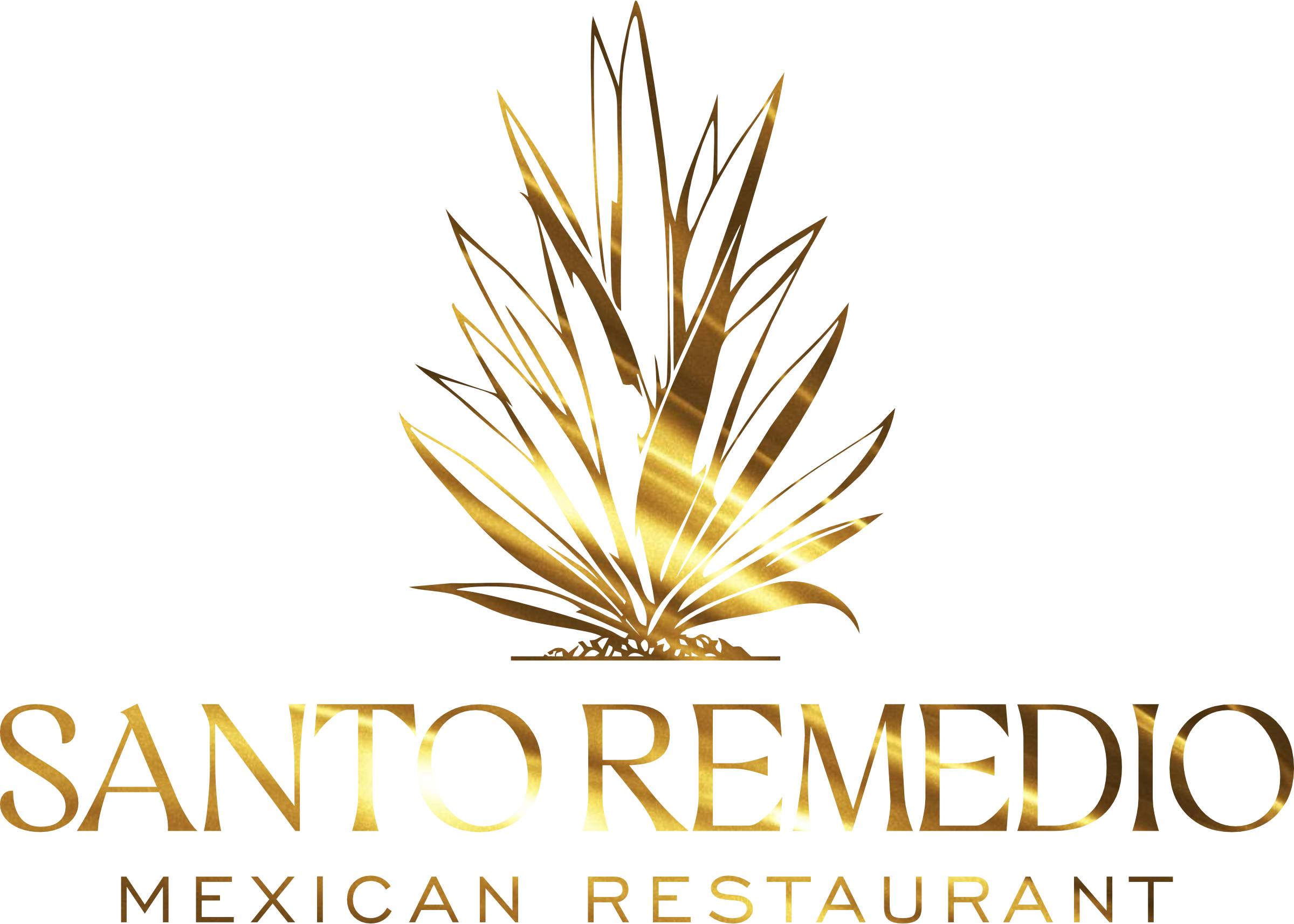 Santo Remedio Logo