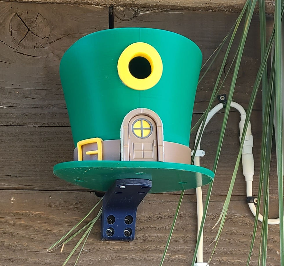 Thumbnail: Leprechaun Hat Birdhouse
