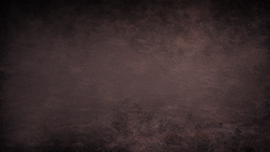 Nardone's Academy - NEW LOGO (8).png