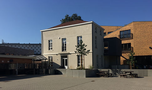 IMG-6732.jpg