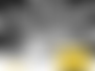 Newsletter Juin 2023 