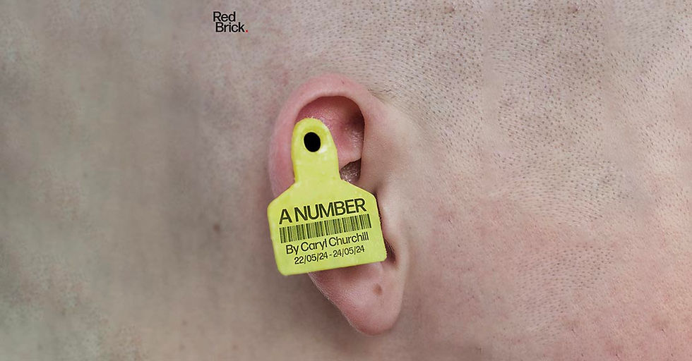 Poster for A Number, by Red Brick Theatre