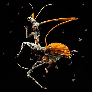 Poster for Frantic Assembly's "Metamorphosis"