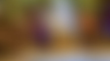 Joseph Long as Mustafa, Farah Saffari as Afra, Alia Lahlou as Dr Faruk and Adam Sina as Nuri in The Beekeeper of Aleppo at Chester Storyhouse. All pics: Manuel Harlan