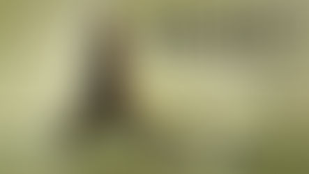 An hour a week to save a life