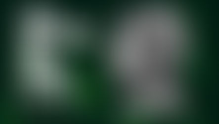 Liverpool Everyman 60th year