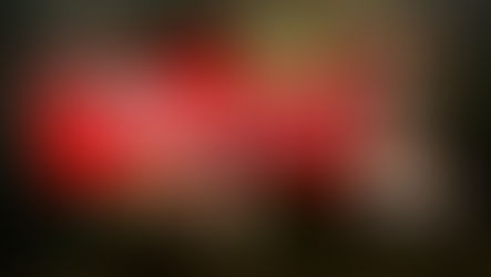 Theatre By The Lake gets ready for 25th anniversary